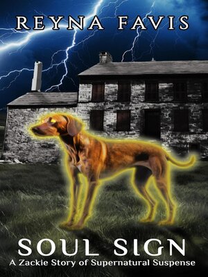 cover image of Soul Sign